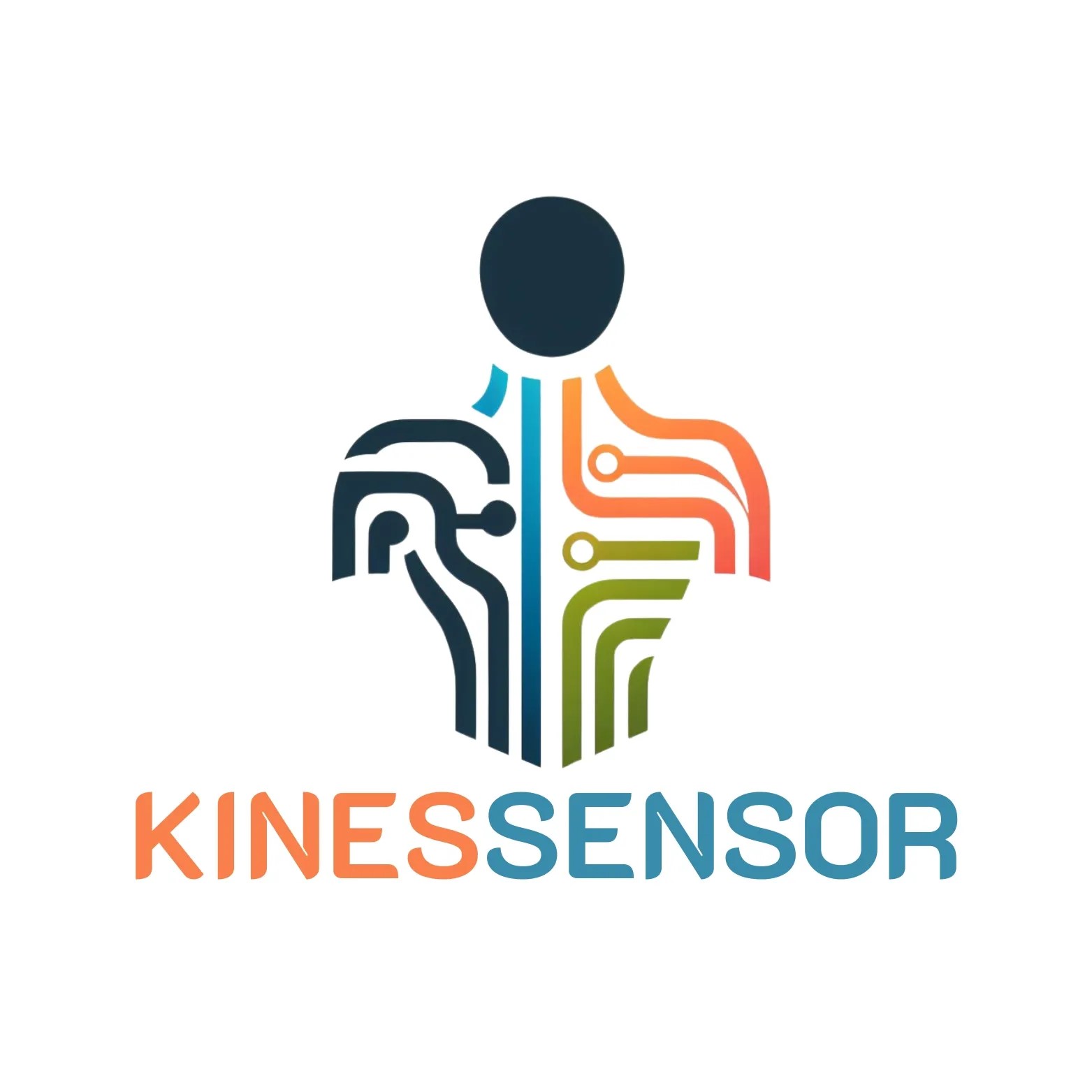 NUEVO PROYECTO I+D 2024-2026: KINESSENSOR